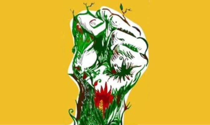 Ekofeminisme dan Perjuangan Orang Biasa