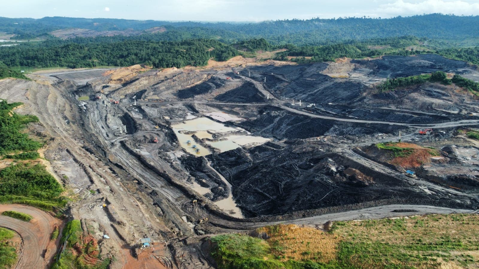 Tiga Tahun Melawan, Warga Menang! Dokumen Tambang KPC Akhirnya Terbuka
