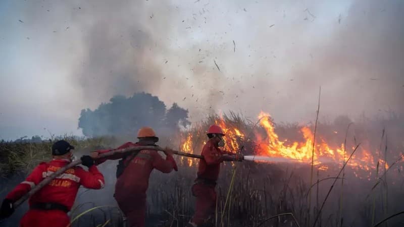 Kebakaran Hutan dan Lahan: Tanggung Jawab Korporasi dan Pentingnya Undang-Undang Kehutanan yang Baru!